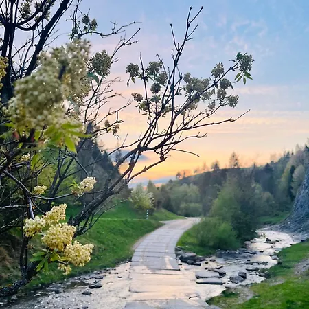 Appartement Primula 2