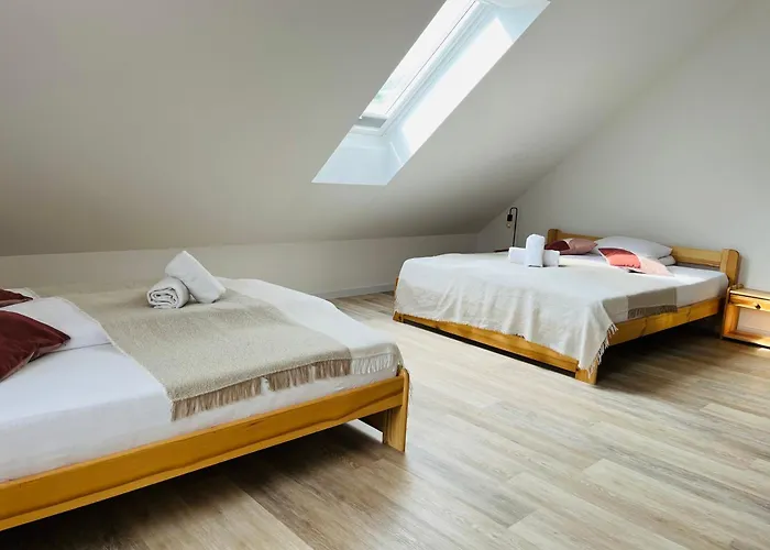 Primula 2 * 야보르키